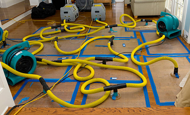 Professional Flood Damage Restoration technician working in Port Angeles, WA